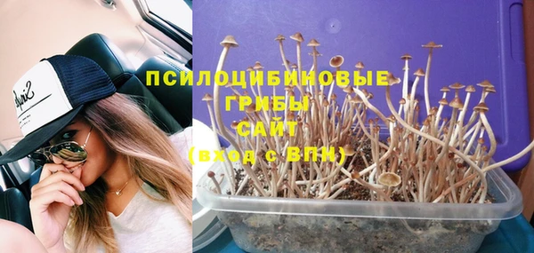 дурь Балабаново