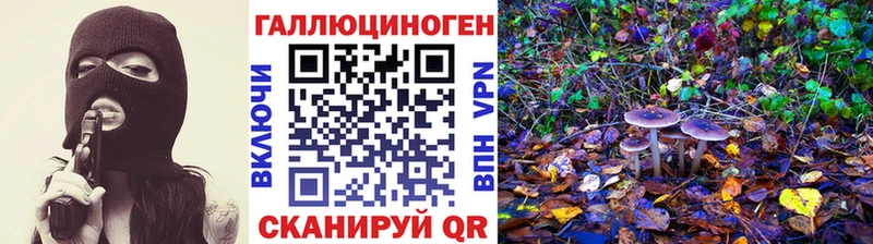 Галлюциногенные грибы Cubensis  Белый 